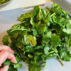 cut coriander leaves