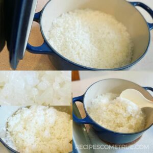 cooked Japanese rice