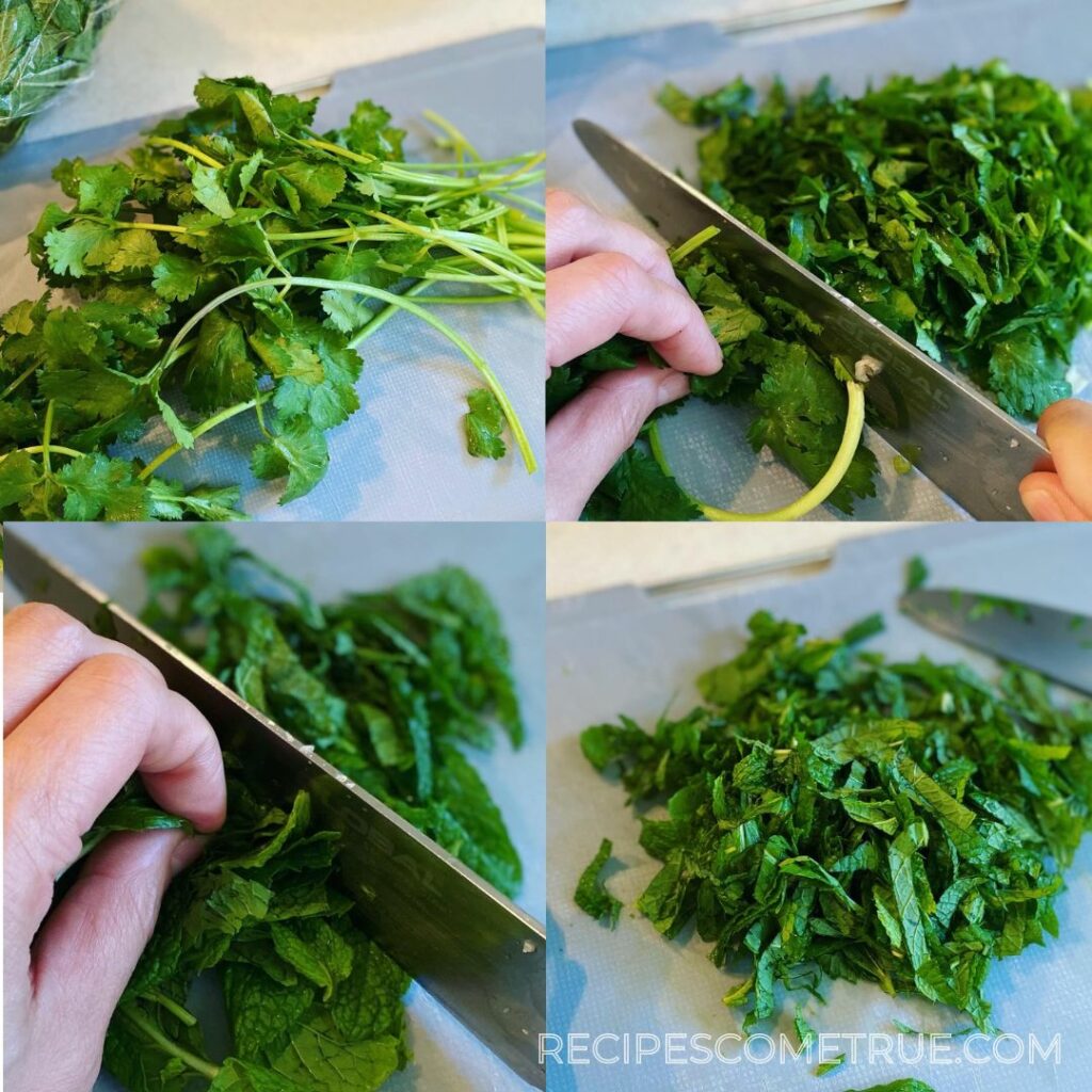 chopped mint and coriander