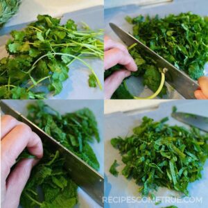chopped mint and coriander