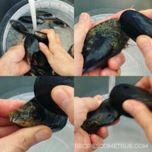 Rinse mussels