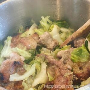 braised pork and cabbage